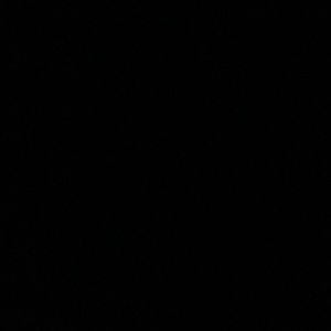 Meet your Posher, Quiana